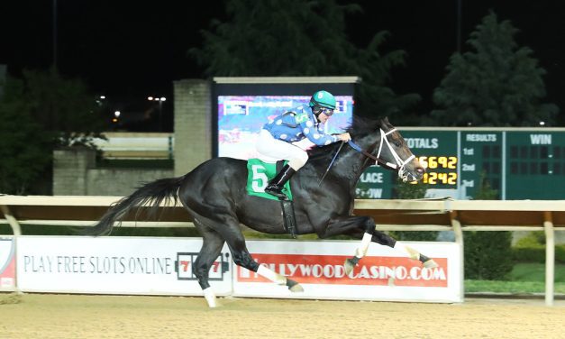 CT: Moonlit Notion remains undefeated in Coin Collector