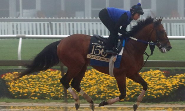 Preakness Profile: Clever Again