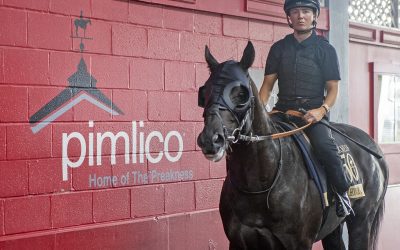 Preakness Profile: Heart of Honor