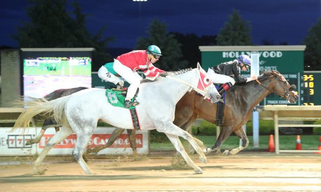 Thewitchisgone conjures up solid resume