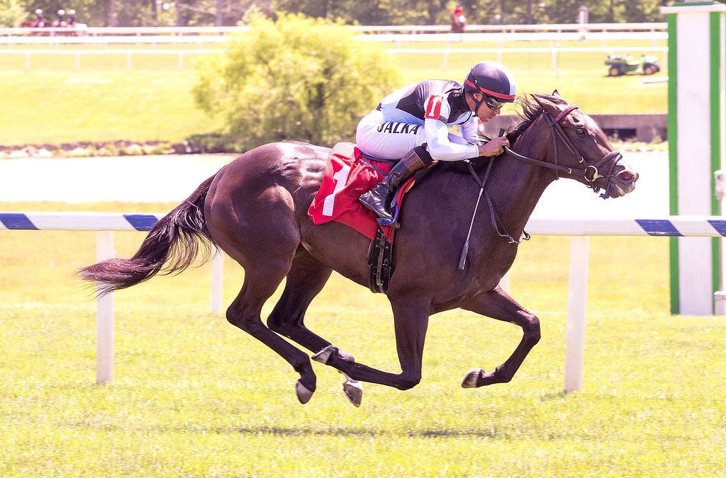 “What she wants”: Roja rolls in first turf try