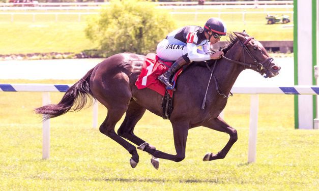 Roja takes step up in Stormy Blues