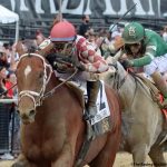 Preakness winner Journalism heads Haskell nominations