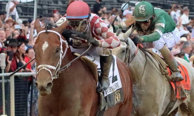 How the Belmont Stakes will develop