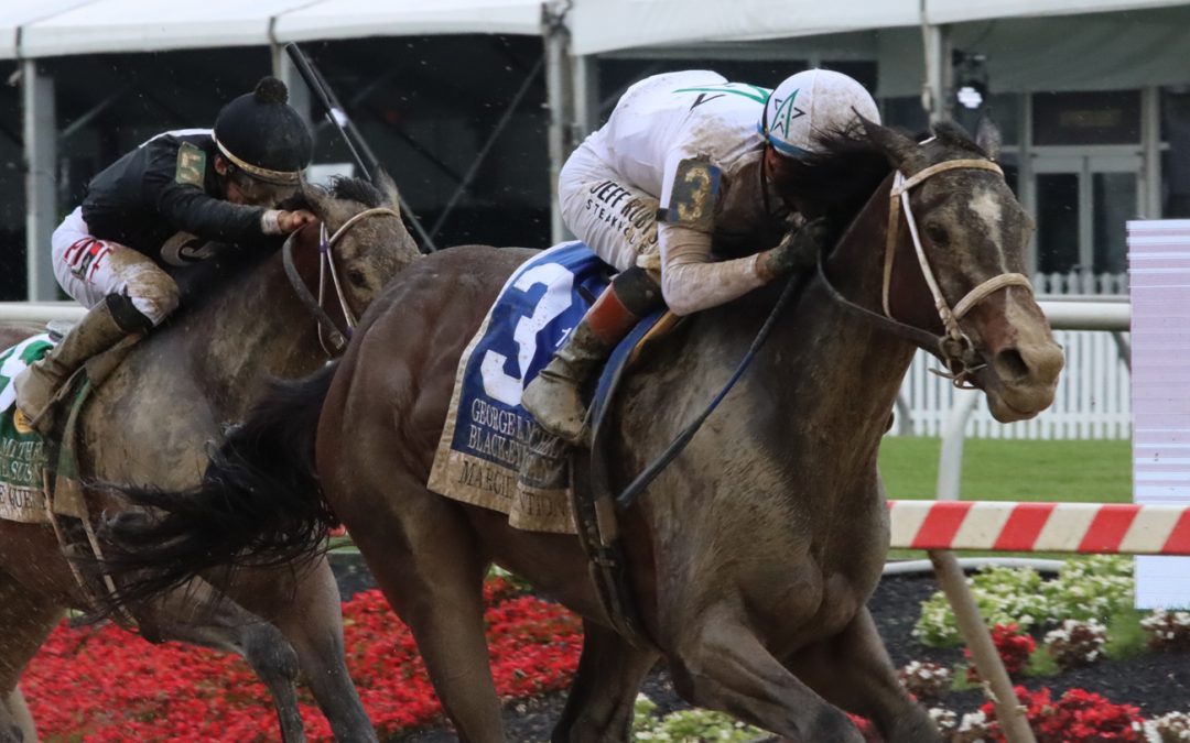 Margie’s Intention scores in delayed Black-Eyed Susan