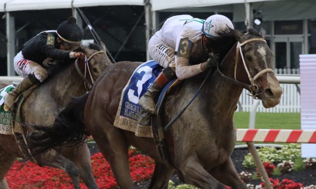 Margie’s Intention scores in delayed Black-Eyed Susan