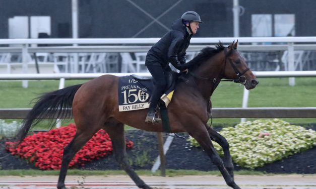 Preakness: Pay Billy could pay off in a big way