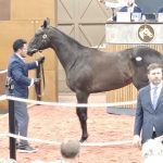 Hip 368