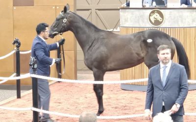 Fasig-Tipton 2yo sale tops $44 million, sets record