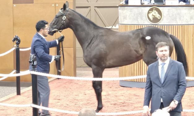 Fasig-Tipton 2yo sale tops $44 million, sets record
