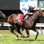 Photo essay: D. Wayne Lukas retires