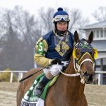 Delaware Park picks and analysis: June 4, 2025