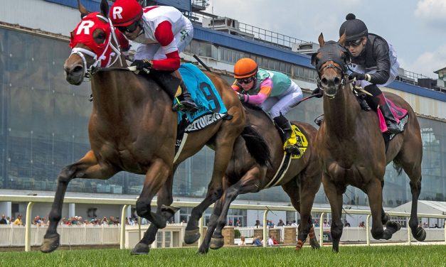 Whenigettoheaven doubles up in Ben’s Cat