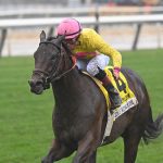 Laurelin puts spotless mark on the line in Penn Oaks