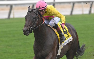 Zulu Kingdom looks for third straight in Penn Mile