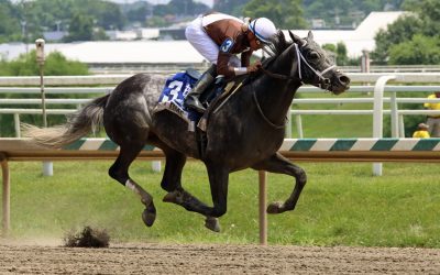 Post Time back to winning ways in Deputed Testamony