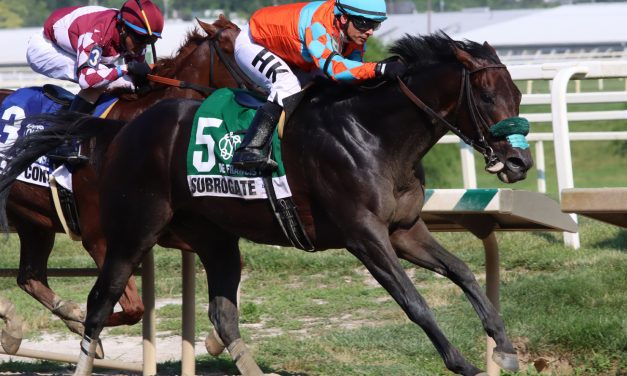 Subrogate prevails in De Francis Dash