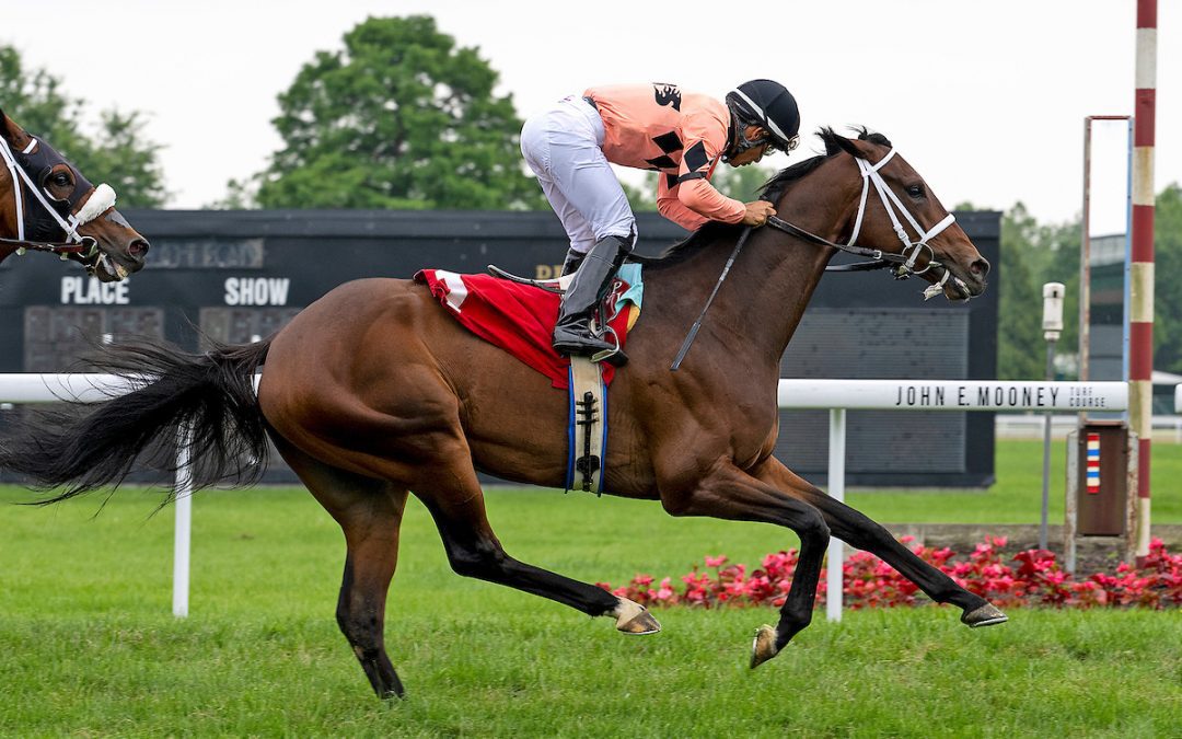 Paco Lopez shares Jockey of the Week honors