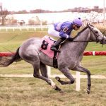 CNL: Audley Farm well represented in weekend stakes