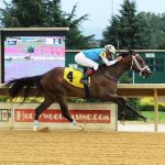 Edy’s Flame heats up in first CT 2yo race