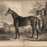 Argyle and Thoroughbred racing in the 1830s