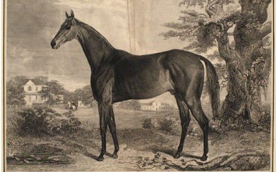Argyle and Thoroughbred racing in the 1830s