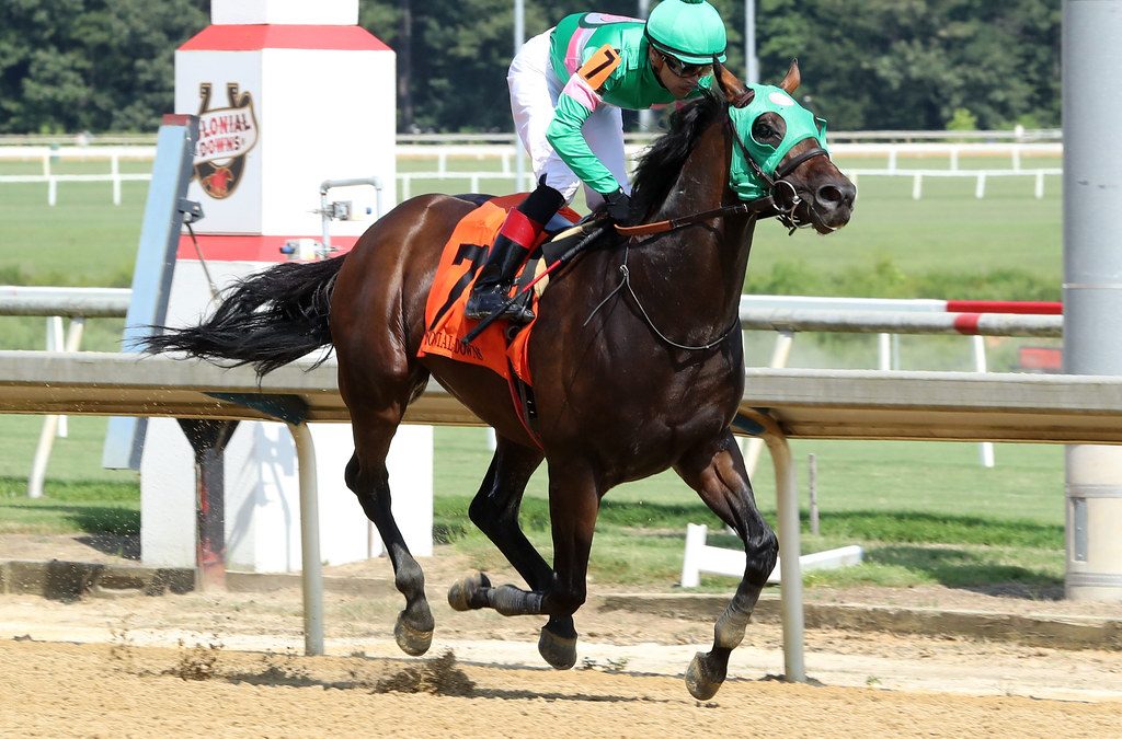 Patriot Spirit invincible in Reigh Count