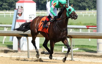 Patriot Spirit invincible in Reigh Count