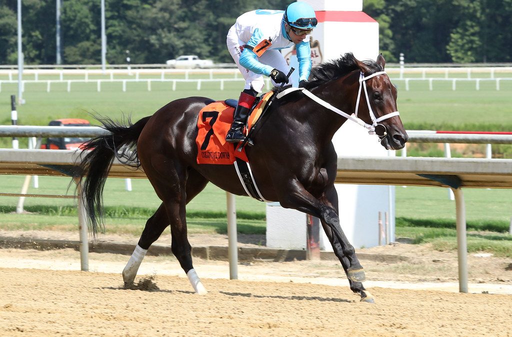 Alani tallies first stakes win in Love Sign
