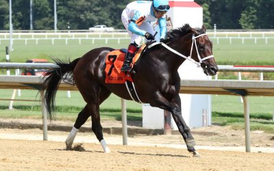 Alani tallies first stakes win in Love Sign