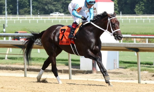 Alani tallies first stakes win in Love Sign