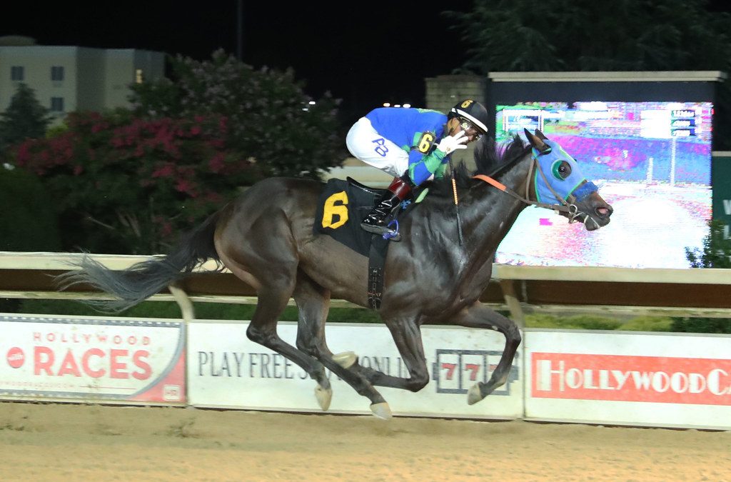 CT: Zip Start too much in Sylvia Bishop
