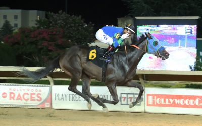 CT: Zip Start too much in Sylvia Bishop