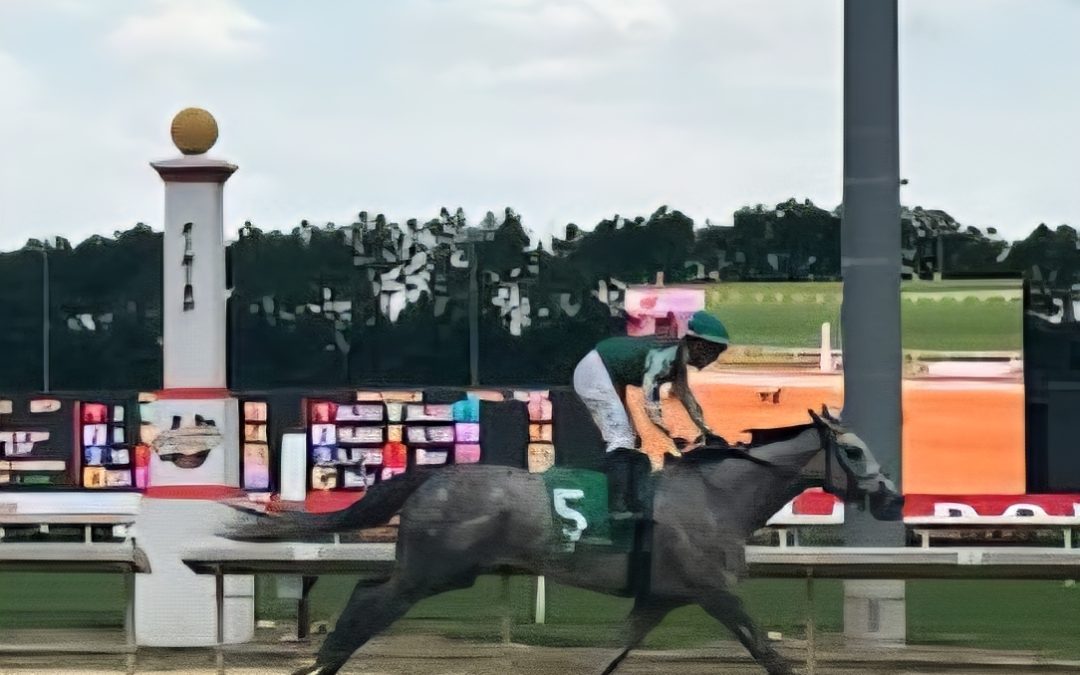 Winfinity rallies to Miss Disco victory