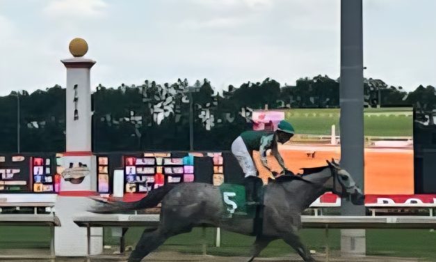 Winfinity rallies to Miss Disco victory