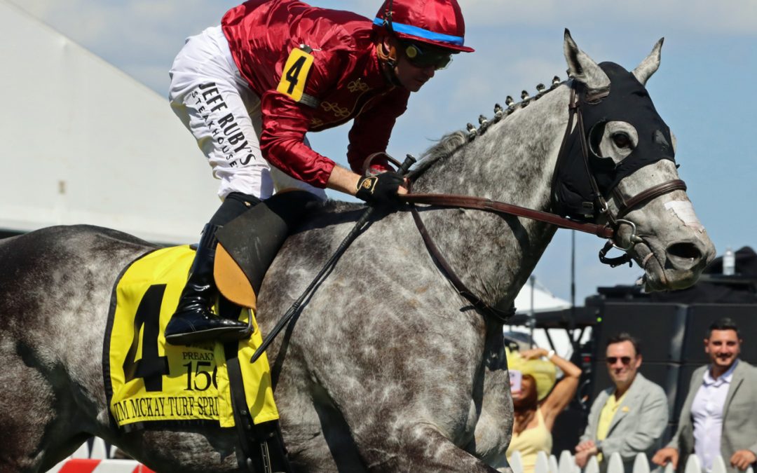 Witty set for first Saratoga trip in Harvey Pack