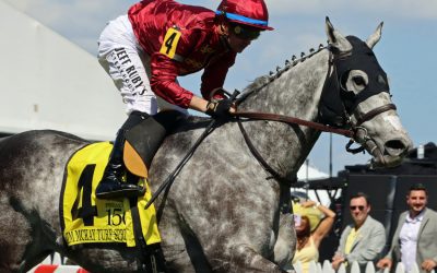Witty set for first Saratoga trip in Harvey Pack
