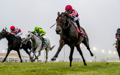 CNL: Cairo Caper looks to turn tables in G2 Secretariat
