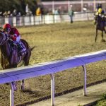 Nick’s Picks: Colonial Downs picks August 21, 2025