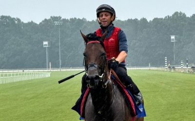 World traveler Cairo wants you to pay attention to him