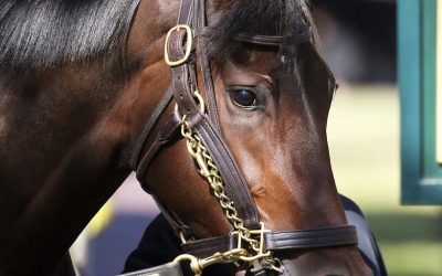 Millionaire Be Your Best on a roll into Beverly D.