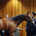 Fasig-Tipton