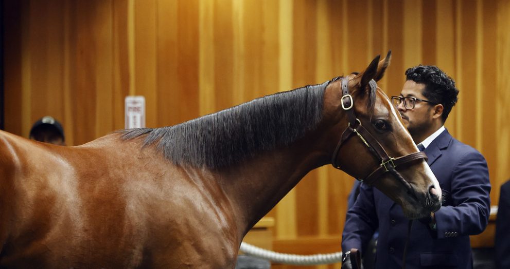 Fasig-Tipton