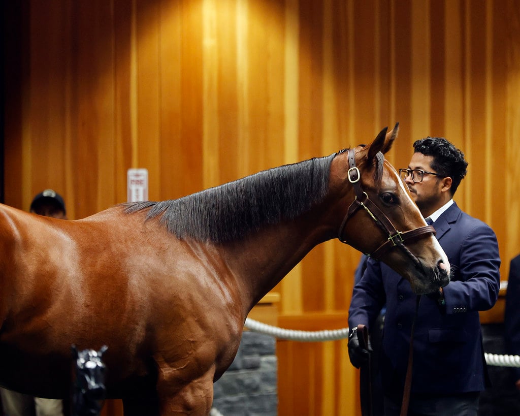 Fasig-Tipton