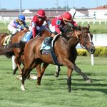 Virginia yearling show to be held Aug. 24