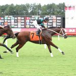 Under-the-radar Free Like a Girl returns for Pink Ribbon