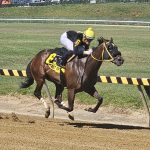 CNL: Trombetta duo sweeps 2yo stakes