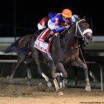Spa Selections 2025: Saratoga Picks August 23