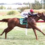 August wagering handle rises versus ’24