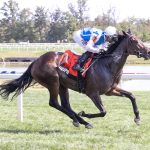Tickets on sale for Maryland Million kickoff